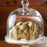 White Truffle from Alba Piemonte ONLY FROM DECEMBER TO FEBRUARY ITALIAN WINTER