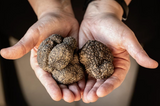 FRESH BLACK ITALIAN TRUFFLE   NOVEMBER  - TO FEB/MARCH 100 GR